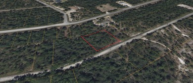 This property is Located in a Green Conservation zone meaning it - photo 5