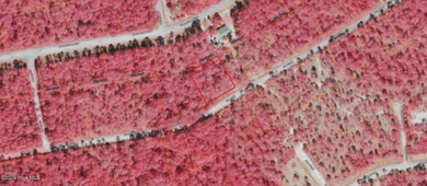 This property is Located in a Green Conservation zone meaning it - photo 6