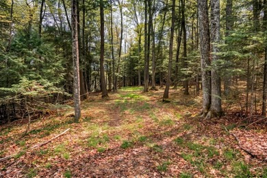 Three Lakes Chain - Turnkey Cabin - Newer Construction - Don't - photo 20
