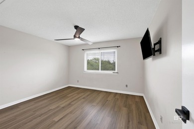 Boat slip, sunset views, and Perdido Key living all under $400K! - photo 23
