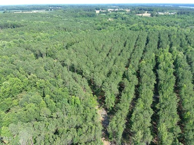 Discover an extraordinary 122 acre property offering the perfect - photo 23