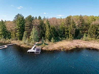 Three Lakes Chain - Turnkey Cabin - Newer Construction - Don't - photo 24