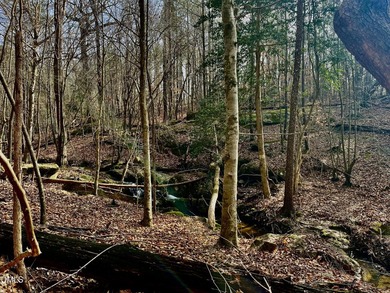 Discover an extraordinary 122 acre property offering the perfect - photo 44