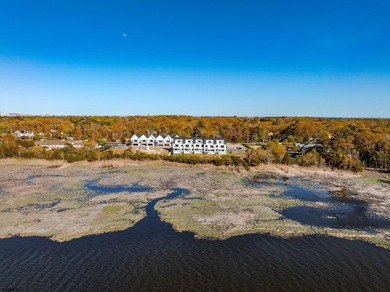 Coastal luxury living awaits at Creek View, a private, exclusive - photo 53
