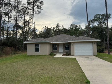 Bowers Lake Home For Sale in Ocala Florida