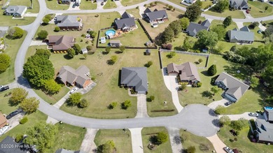 Nestled in the serene and sought-after Berne Glade community - photo 47