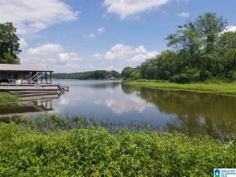 Lake Lot Off Market in Lincoln, Alabama