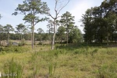Large .85 acre water front lot in quite upscale neighborhood - photo 3