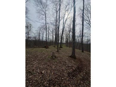 PRICE REDUCED TO $425,000-----MLS11687310-----1173 Poca Rd - photo 47