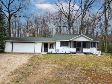 Lake Home For Sale in Lake, Michigan