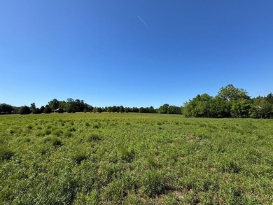 Discover the perfect blend of investment, recreation, and - photo 2