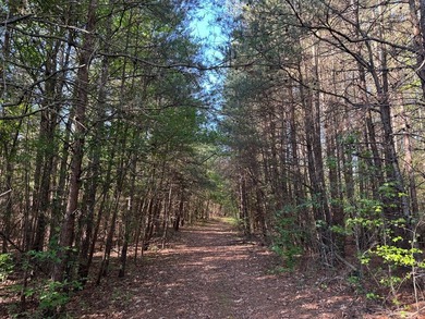 Discover the perfect blend of investment, recreation, and - photo 7