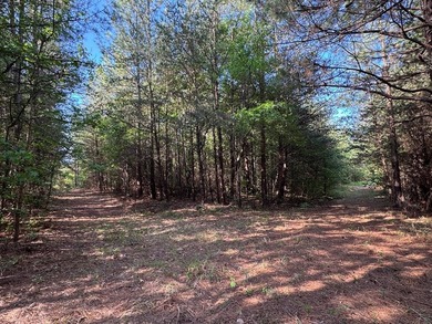 Discover the perfect blend of investment, recreation, and - photo 10