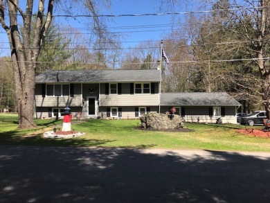Delaware River - Wayne County Home For Sale in Starlight Pennsylvania