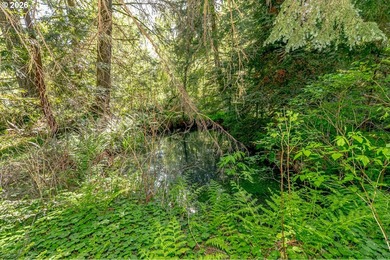 Private, gated home on 5+ acres with a year-round creek and - photo 40