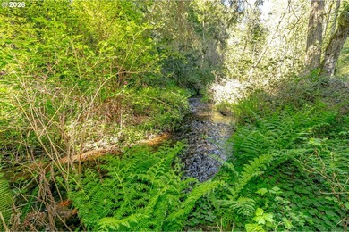Private, gated home on 5+ acres with a year-round creek and - photo 42