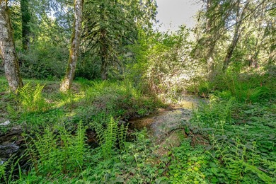 Private, gated home on 5+ acres with a year-round creek and - photo 43
