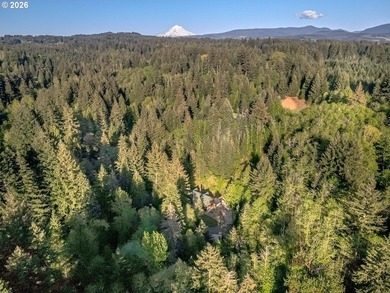 Private, gated home on 5+ acres with a year-round creek and - photo 44