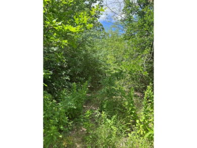 Lake Lot For Sale in Pottsboro, Texas