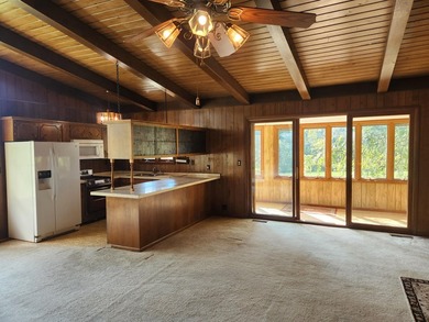 NEW PRICE! Lake of the Ozarks ! Beautiful home on a 2 acre park - photo 18