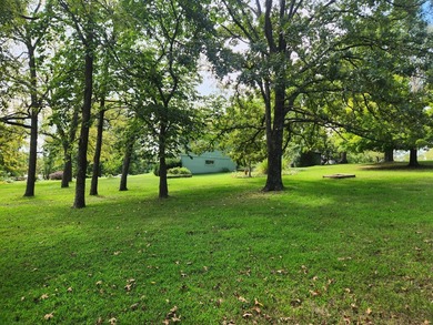 NEW PRICE! Lake of the Ozarks ! Beautiful home on a 2 acre park - photo 34