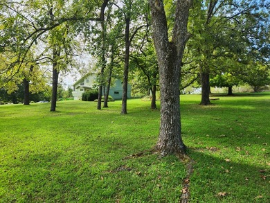 NEW PRICE! Lake of the Ozarks ! Beautiful home on a 2 acre park - photo 35