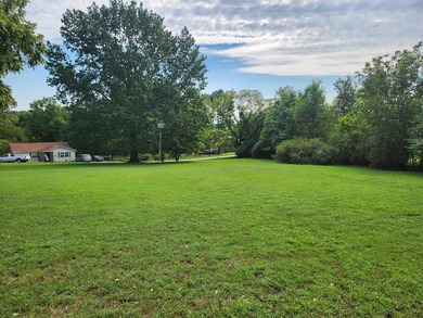 NEW PRICE! Lake of the Ozarks ! Beautiful home on a 2 acre park - photo 36