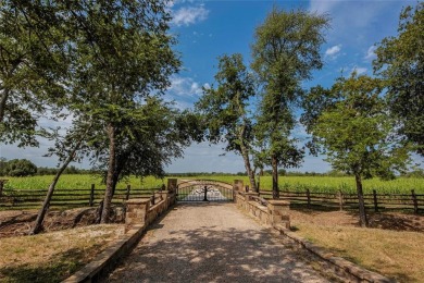 Lake Home For Sale in Meridian, Texas