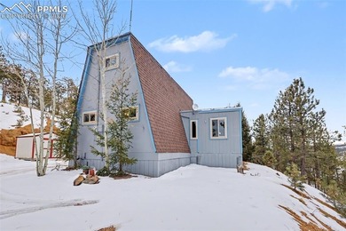 (private lake, pond, creek) Home For Sale in Woodland Park Colorado