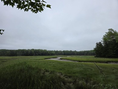 21.58 acres with scenic tidal frontage on Mill River leading to - photo 1