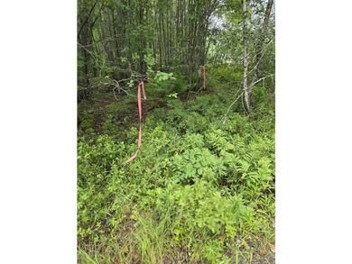 21.58 acres with scenic tidal frontage on Mill River leading to - photo 2