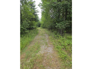 21.58 acres with scenic tidal frontage on Mill River leading to - photo 8
