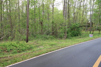 Lake Hartwell Lot For Sale in Lavonia Georgia