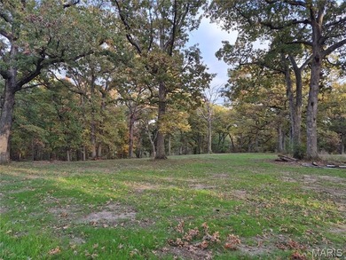 (private lake, pond, creek) Acreage For Sale in Eolia Missouri