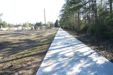 This exceptional 40+/- acre tract in Southwest Mississippi - photo 12