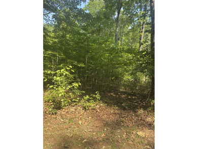 Build your dream home in Merifield Acres, where stunning new - photo 2