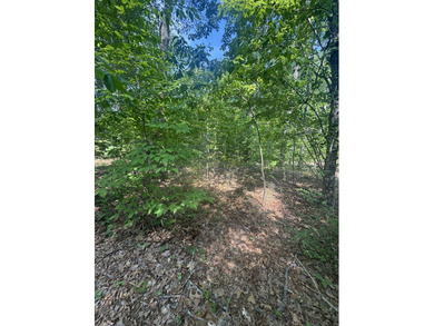 Build your dream home in Merifield Acres, where stunning new - photo 3