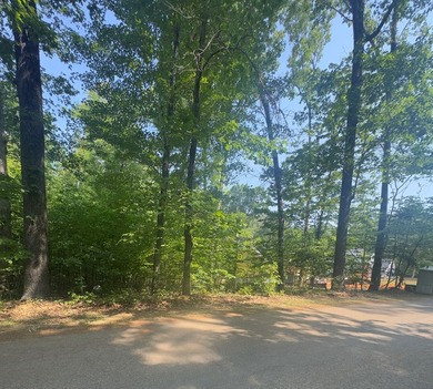 Build your dream home in Merifield Acres, where stunning new - photo 4