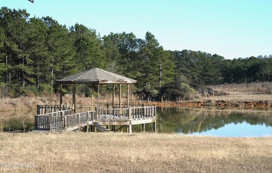 This exceptional 40+/- acre tract in Southwest Mississippi - photo 30