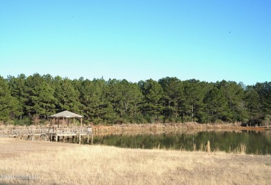 This exceptional 40+/- acre tract in Southwest Mississippi - photo 31