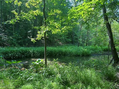 #73320-Lake Escape!! Seeking a way to get to the lake without - photo 6