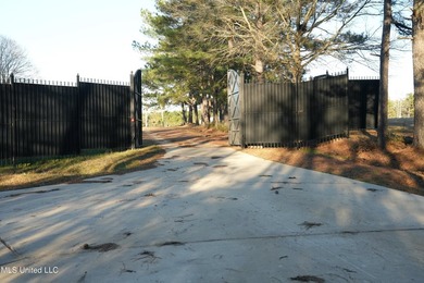This exceptional 40+/- acre tract in Southwest Mississippi - photo 47