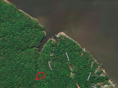 #73330-Senequa Surprise!! A charming set of three lots totaling - photo 1