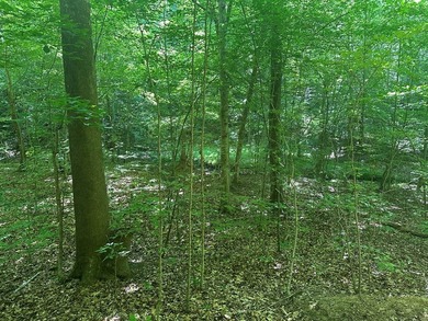 #73330-Senequa Surprise!! A charming set of three lots totaling - photo 2