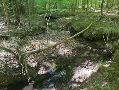#73330-Senequa Surprise!! A charming set of three lots totaling - photo 5