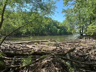 #73330-Senequa Surprise!! A charming set of three lots totaling - photo 6