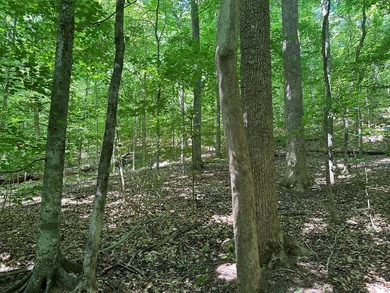 #73330-Senequa Surprise!! A charming set of three lots totaling - photo 10