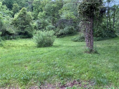 (private lake, pond, creek) Acreage Sale Pending in Ripley West Virginia