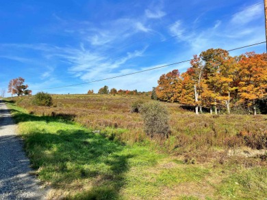 Lake Acreage Off Market in Glover, Vermont