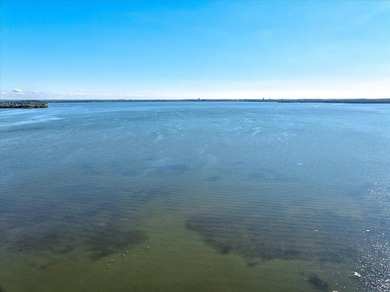 Discover a rare opportunity on Lake Mendota nestled in the 2nd - photo 12